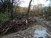 Creek Restoration Project in Pennsylvania