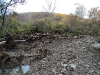 Pennsylvania Creek Restoration Project