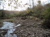 US Creek Restoration Project