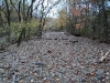 Creek Restoration after Flooding