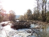 Creek Restoration Project near Tunkhannock