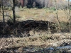 Resore a Flooded Creek